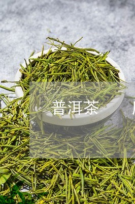 普洱茶  脏/2023042867893